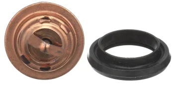 Quicksilver 75692Q03 Replacement Thermostat