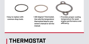 THERMOSTAT KIT
