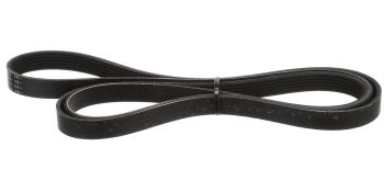 Quicksilver 807755Q04 Serpentine Belt, 2,240mm Long