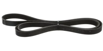 Quicksilver 807755Q04 Serpentine Belt, 2,240mm Long