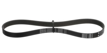 Quicksilver 880566Q14 Alternator Belt for Select Mercury 135-200hp 4-Cylinder, 200-300hp 6-Cylinder, 200-300hp 6-Cylinder, and 350-400hp 6-Cylinder Verado Outboards