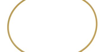 Quicksilver 884391 Cylinder Bore Seal for Mercury 200-300hp Outboards