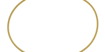 Quicksilver 884391 Cylinder Bore Seal for Mercury 200-300hp Outboards