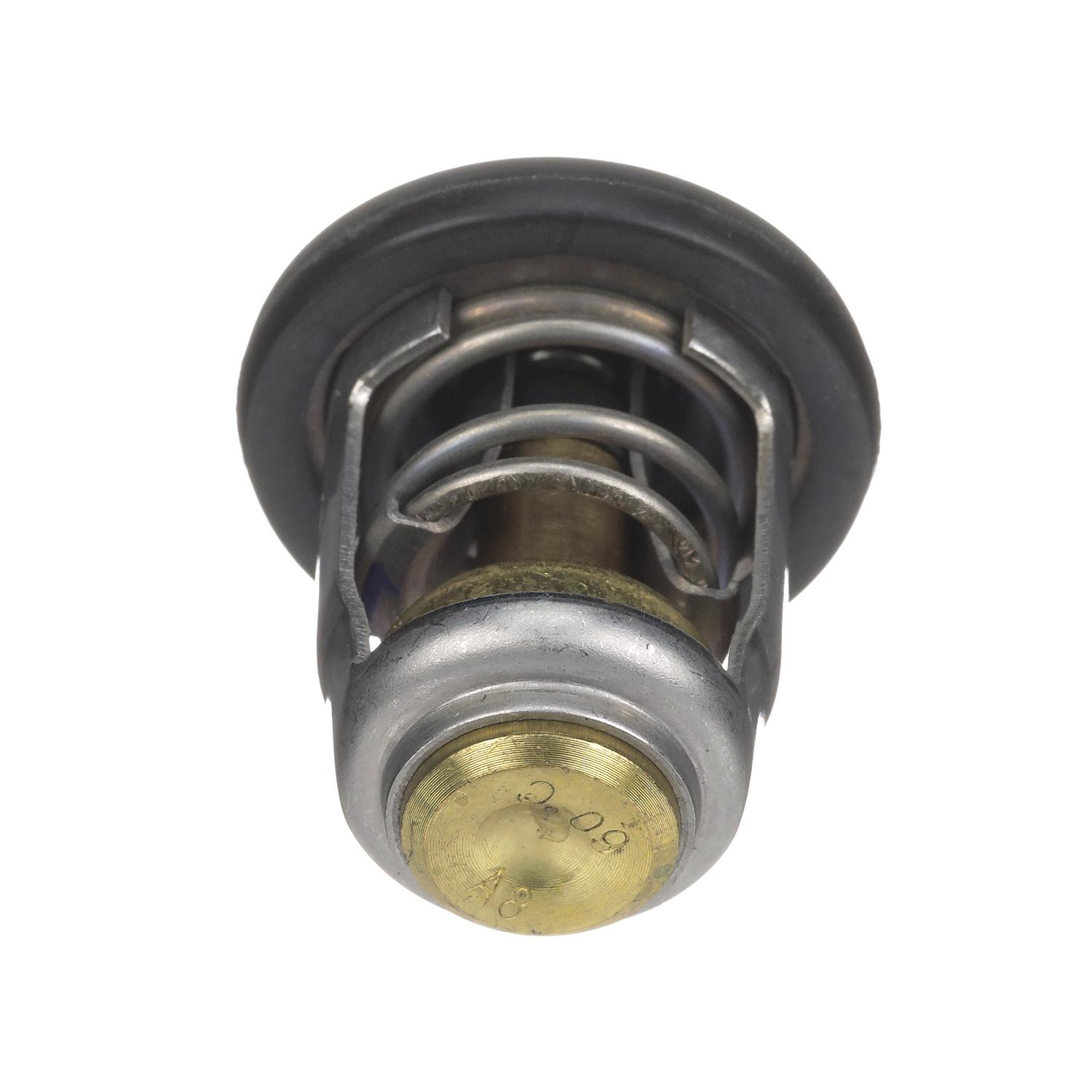 Quicksilver 8M0119207 Replacement Thermostat - Image 6